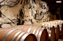 Château La Salade Saint Henri produit des vins AOC Pic Saint Loup . Ici une cave de vieillissement de vin en fûts de chêne.(® SAAM-fabrice Chort)