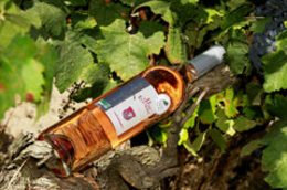 Domaine du Petit Chaumont Aigues Mortes propose des vins Rosés (® networld-Fabrice Chort)