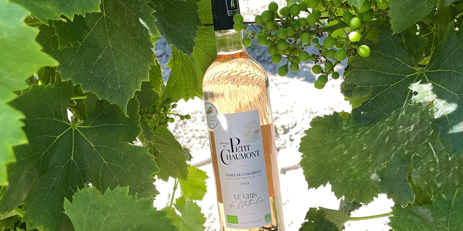 Domaine du Petit Chaumont • Le gris de Nathalie 2024 • gris de gris • vin des sables bio (®petit chaumont)