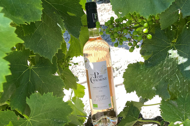 Domaine du Petit Chaumont • Le gris de Nathalie 2024 • gris de gris • vin des sables bio (®petit chaumont)