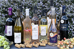 Petit Chaumont • vin de sable Camargue • vins bio (® petit chaumont) Petit Chaumont • vin de sable Camargue • vins bio (® petit chaumont)