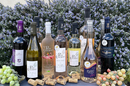 Vins du Domaine du Petit Chaumont • Vin de Sable de Camargue • Vins bio (® petit chaumont)