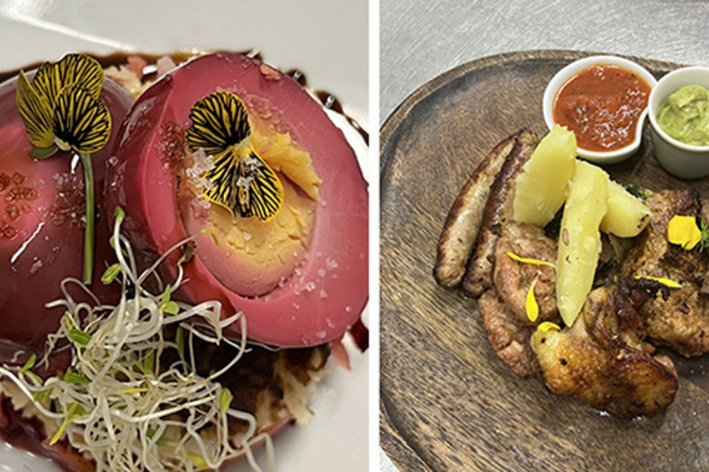 Plat du restaurant Rêve du Chef à Castelnau-le-Lez