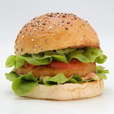 Burger Vegetarian Montpellier 