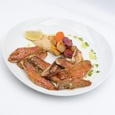  Filets de rougets