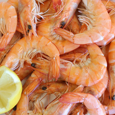 Boutique d'huîtres et de fruit de mer à emporter - Bouzigues