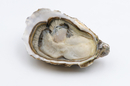 Huîtres bio de Méditerranée - Bouzigues