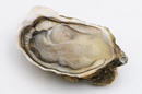 Huîtres bio de Méditerranée - Bouzigues