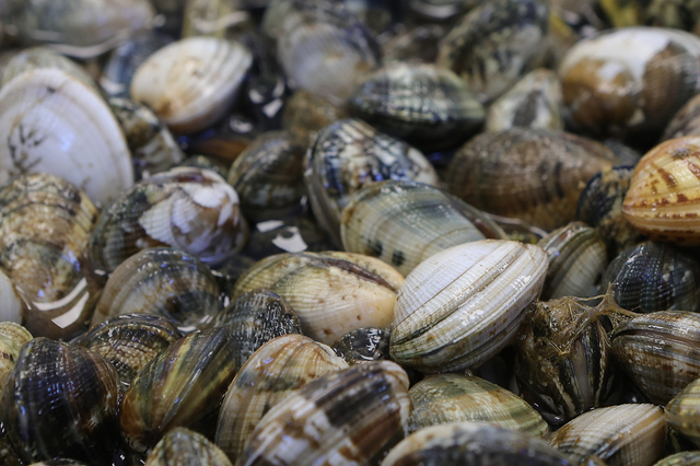Vente sur place de coquillages et de fruits de mer- Bouzigues  