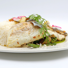 Filet de daurade - Montpellier