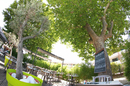Le Delphis Lattes restaurant présente une grande terrasse sous les arbres (® networld-fabrice Chort)