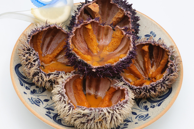 Oursin - Restaurant et poissonnerie - Les Poissons d'abord Montpellier