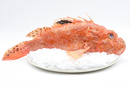 Poissonnerie Montpellier Port Marianne • Les Poissons d’abord Montpellier • Restaurant ( ® SAAM- fabrice CHORT)