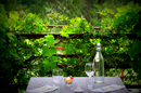 Tables en terrasse du restaurant gastronomique du Mas de Luzière de St André de Buèges (credits photos : networld-Fabrice Chort)