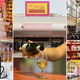 Maison Méditerranéenne des Vins : optez pour un cadeau original et artisanal Maison Méditerranéenne des Vins : optez pour un cadeau original et artisanal